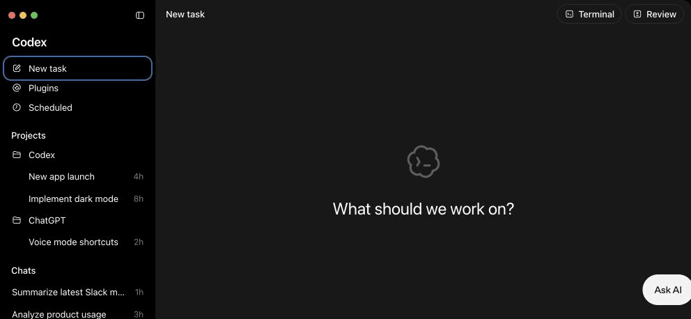 A blank Codex task with New task selected and the prompt What should we work on in the center.
